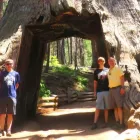 Business 2 image MUIR WOODS TOURSF Travel Services-Commercial in San Francisco CA