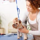 Business 5 image MY DOG PAWLOR Pet Grooming in San Jose CA