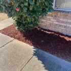 Business 1 image MY YARDS OF ATLANTA in Locust Grove GA