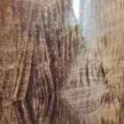 Business 8 image MYTHIC GUITAR COMPANY in Austin TX