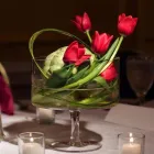 Business 1 image NANZ AND KRAFT FLORIST Wedding Supplies & Services in Louisville KY
