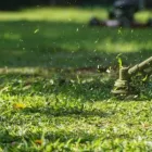 Business 2 image NATE'S LAWN & TREE SERVICE Tree Cutting in Clarksville TN