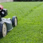 Business 3 image NATE'S LAWN & TREE SERVICE Tree Cutting in Clarksville TN