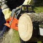 Business 5 image NATE'S LAWN & TREE SERVICE Tree Cutting in Clarksville TN