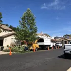 Business 3 image NATHAN'S TREE SERVICES in San Diego CA