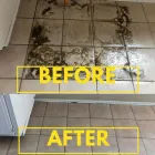 Business 5 image NATURAL SOLUTIONS CLEANING SERVICES Upholstery Cleaning Service in Imperial Beach CA