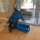 Business 20 image NATURAL SOLUTIONS CLEANING SERVICES Upholstery Cleaning Service in Imperial Beach CA