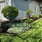 Business 4 image NATURE BOY LANDSCAPING Lawn Mowing in Columbus OH