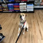 Business 2 image NATURE'S PET MARKET HAZEL DELL Pet Stores & Supplies in Vancouver WA