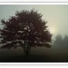 Business 2 image NATURE'S RAIN HORTICULTURAL SERVICES Landscape Contractors in Yonkers NY