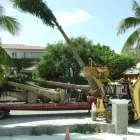 Business 5 image NATURE TOUCH INC Landscaping & Lawn Services in Miami FL