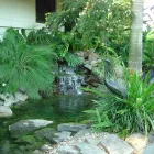 Business 6 image NATURE TOUCH INC Landscaping & Lawn Services in Miami FL