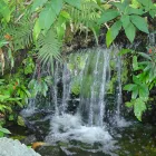 Business 7 image NATURE TOUCH INC Landscaping & Lawn Services in Miami FL