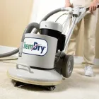 Business 2 image NATUREWISE CHEM-DRY Carpet & Upholstery Cleaning in Saint Paul MN