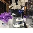 Business 4 image NAVA NATURAL Youthful Skin in Beverly Hills CA