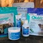 Business 4 image NEARTOWN ANIMAL CLINIC Cat Boarding in Houston TX