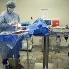 Business 5 image NEARTOWN ANIMAL CLINIC Cat Boarding in Houston TX