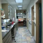 Business 11 image NEARTOWN ANIMAL CLINIC Cat Boarding in Houston TX