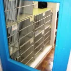 Business 15 image NEARTOWN ANIMAL CLINIC Cat Boarding in Houston TX