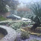 Business 17 image NEARTOWN ANIMAL CLINIC Cat Boarding in Houston TX