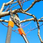 Business 2 image NEW LEAF LAWN CARE in Chicago IL