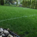 Business 6 image NEW LEAF LAWN CARE in Chicago IL