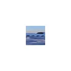 Business 1 image NEWPORT PRIVATE JET Aircraft Rental in San Francisco CA