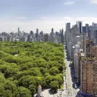 Business 3 image NEXT CLEANERS - CHELSEA Dry Cleaners in New York NY
