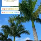 Business 1 image NEXT GENERATION MEDIA GROUP Marketing Services in Delray Beach FL