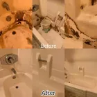 Business 2 image NEXT LEVEL CLEANING Residential Cleaning in San Jose CA