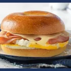 Business 1 image NOAH'S NY BAGELS Restaurants in Sacramento CA