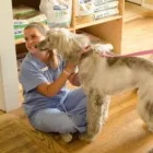 Business 1 image NOAH'S STOP 11 in Indianapolis IN