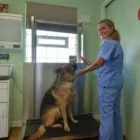 Business 3 image NOAH'S STOP 11 in Indianapolis IN