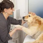 Business 1 image NOBLE WEST ANIMAL HOSPITAL in Noblesville IN