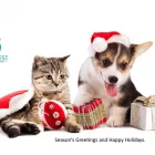 Business 4 image NOBLE WEST ANIMAL HOSPITAL in Noblesville IN