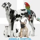 Business 5 image NOBLE WEST ANIMAL HOSPITAL in Noblesville IN