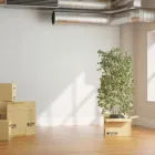 Business 2 image NOICE & CLEAN CO. Cleaning Services Company in Pawtucket RI