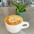 Business 2 image NOMZ in Akron OH