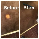 Business 9 image NORTH AMERICAN CHEM-DRY Upholstery Cleaning Service in San Francisco CA