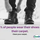 Business 39 image NORTH AMERICAN CHEM-DRY Upholstery Cleaning Service in San Francisco CA