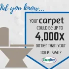 Business 40 image NORTH AMERICAN CHEM-DRY Upholstery Cleaning Service in San Francisco CA