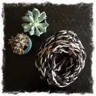 Business 4 image NORTHERN IVY KNITS & GOODS in Brookfield IL