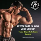 Business 6 image NUTRITION NATION Optimum Nutrition in Arlington TX