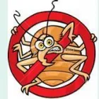 Business 1 image NYC PEST CONTROL Pest Control in Brooklyn NY