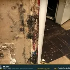 Business 3 image O2 MOLD TESTING Mold Testing in Gaithersburg MD