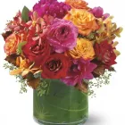 Business 20 image OAKLEAF FLORIST Wedding Supplies & Services in San Antonio TX