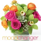 Business 30 image OAKLEAF FLORIST Wedding Supplies & Services in San Antonio TX