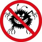 Business 4 image OCP BEE REMOVAL TUCSON AZ - BEE EXTERMINATOR Pest Control Services in Tucson AZ