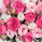 Business 2 image ODE À LA ROSE Shopping & Retail in Chicago IL