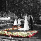 Business 1 image ODESSA WEDDING PHOTO AND VIDEO Photo Retouching & Restoration in Brooklyn NY